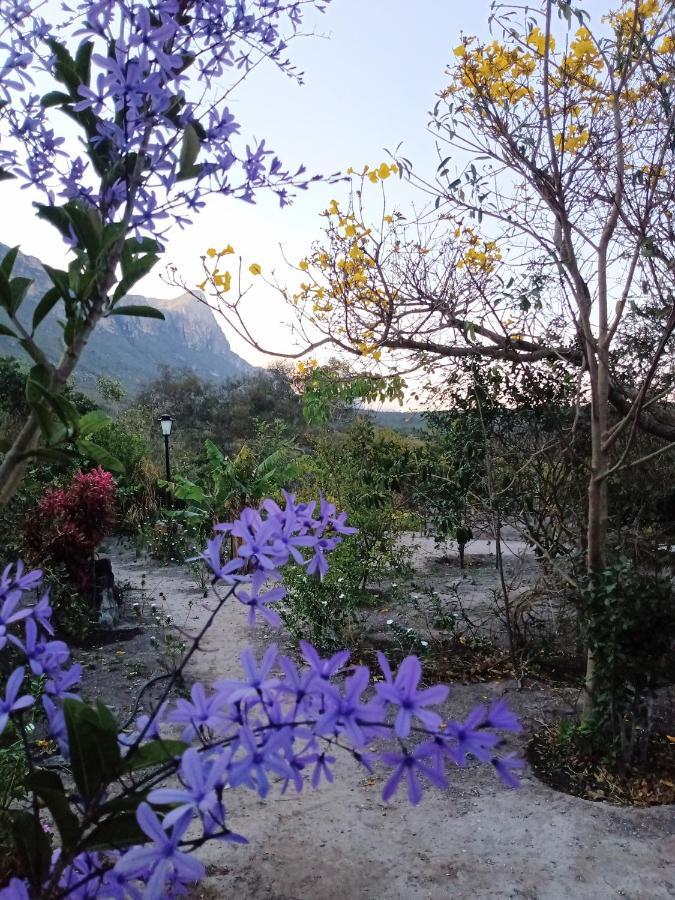 Terra De Aruanda Pousada Palmeiras  Exteriér fotografie