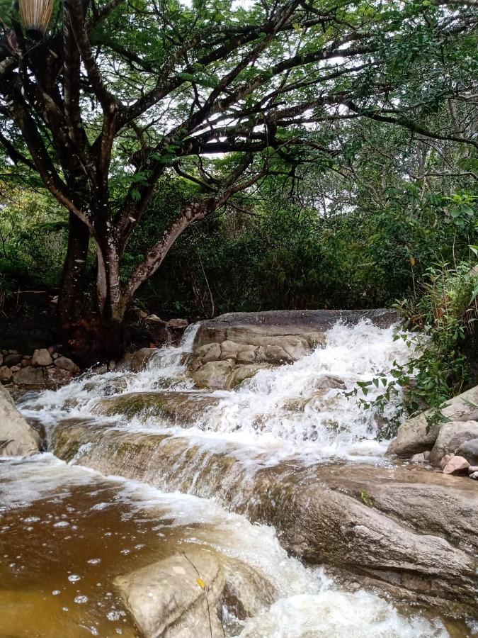 Terra De Aruanda Pousada Palmeiras  Exteriér fotografie